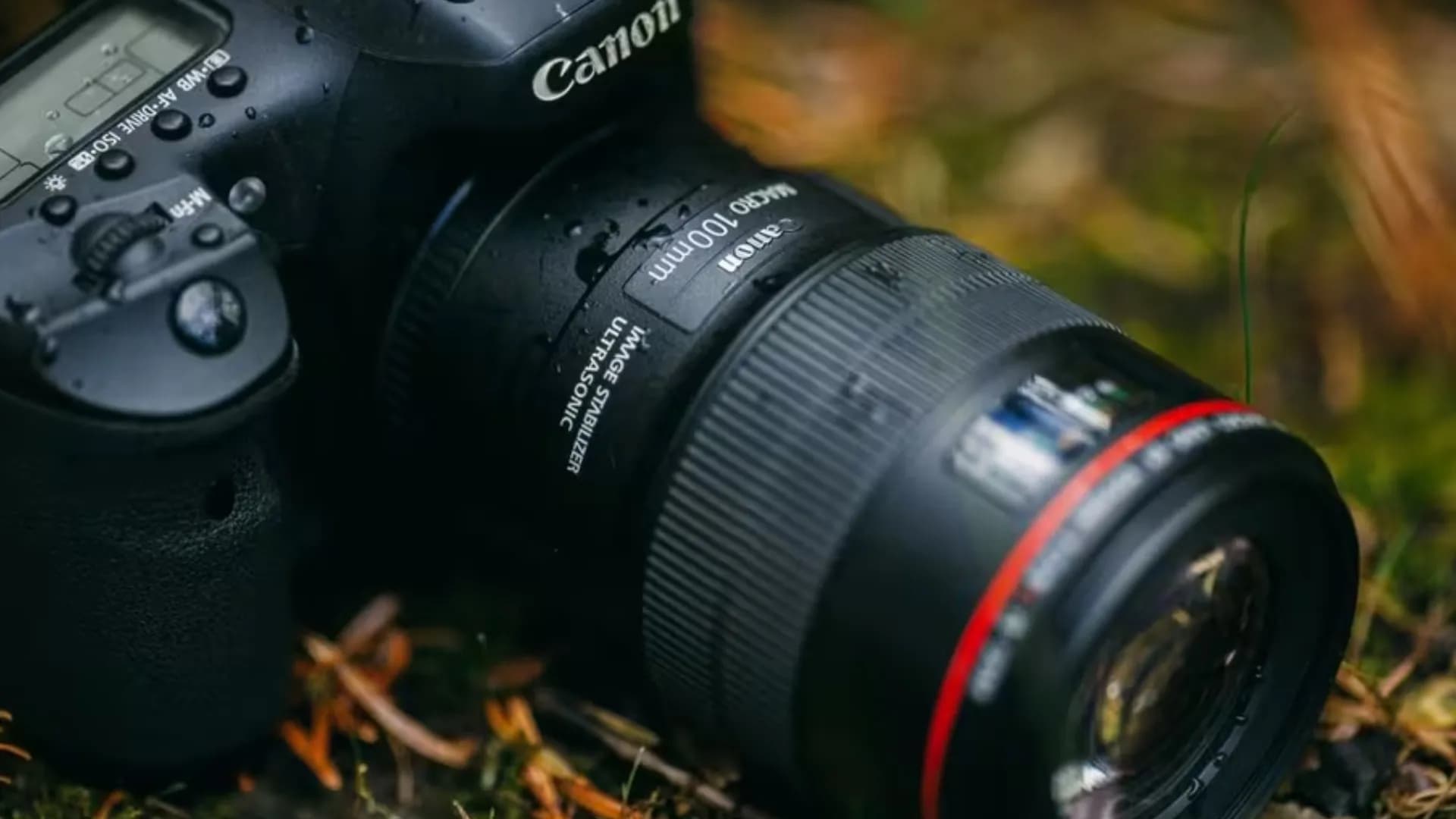 Макрообъектив Canon EF 100mm f/2.8L Macro IS USM (3554B005) (Standard)