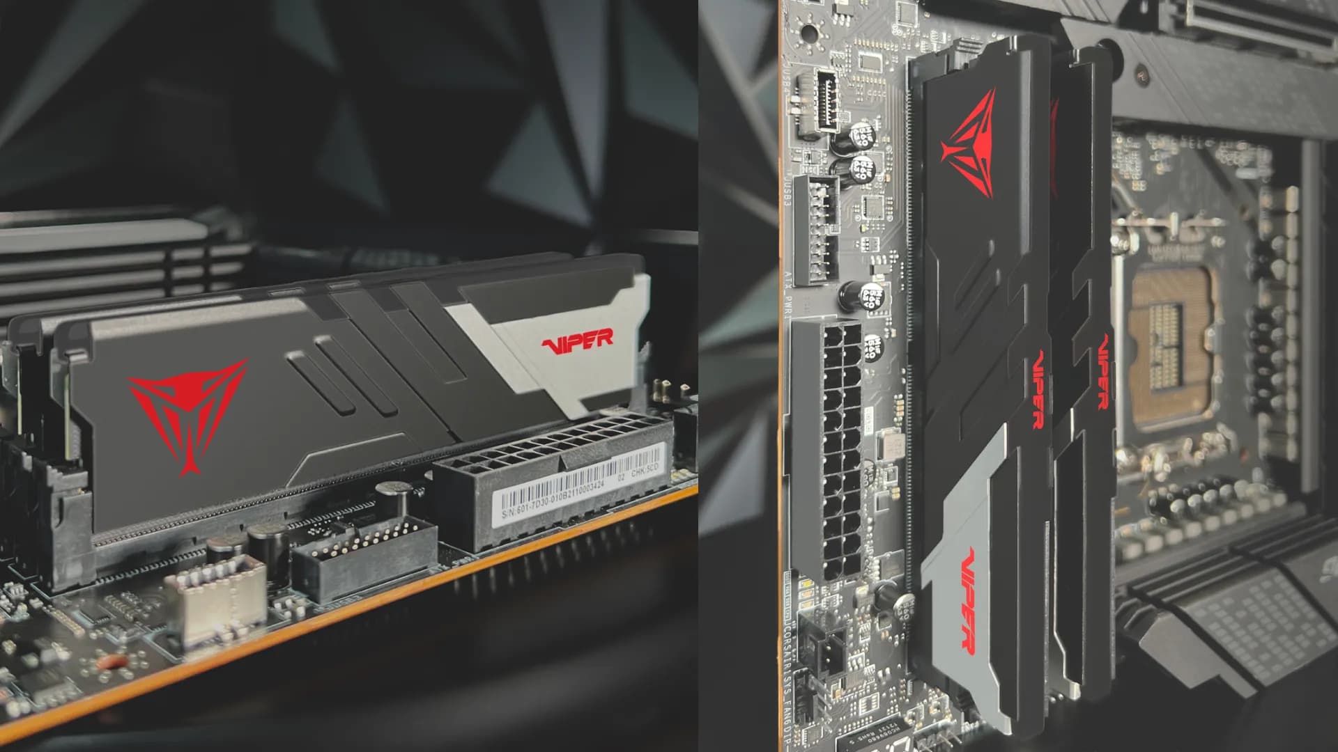 Оперативная память Patriot Viper Venom DDR5 64GB 2x32GB 5200MHz (PVV564G520C40K)