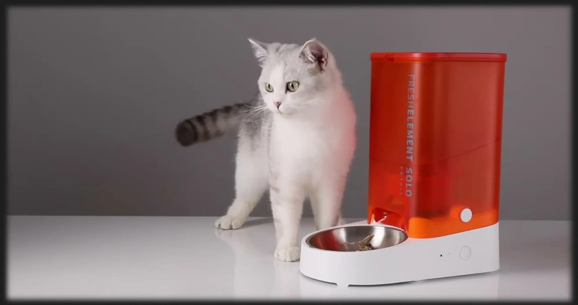 Смарт кормушка PETKIT Fresh Element SOLO (Dark Gray)