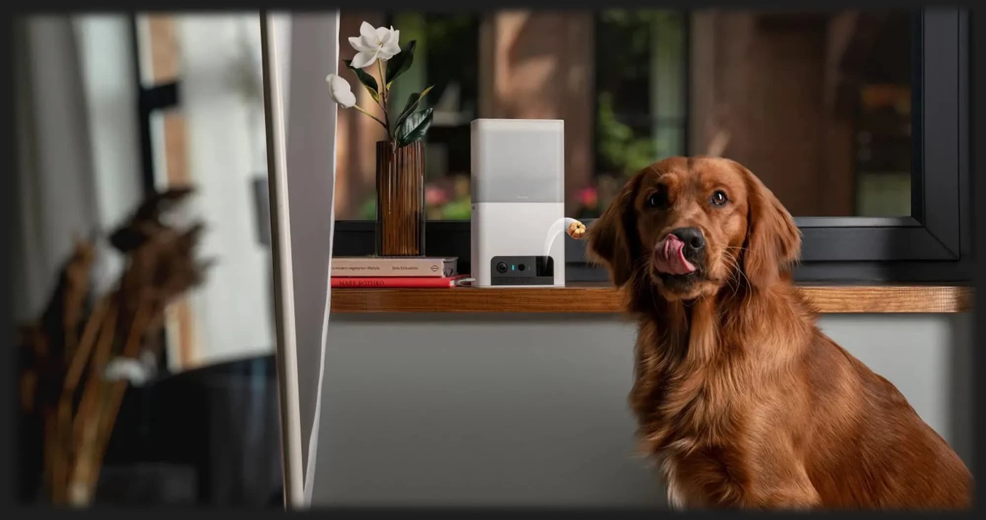 Интерактивная HD камера Petcube Bites 2 Lite (Silver)