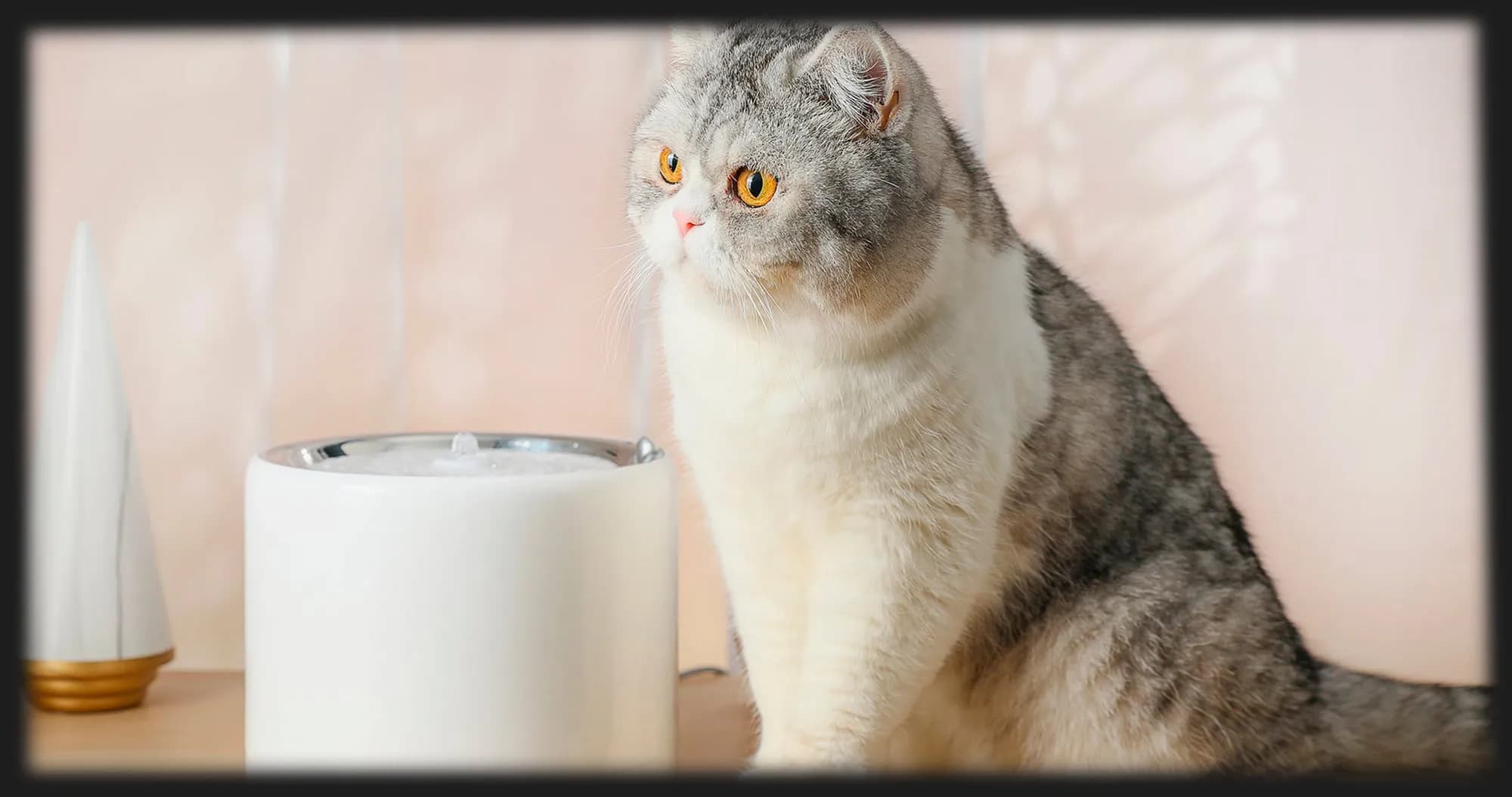 Поилка PETKIT Electric Pet Cat/Dog EVERSWEET 3 PRO (White)
