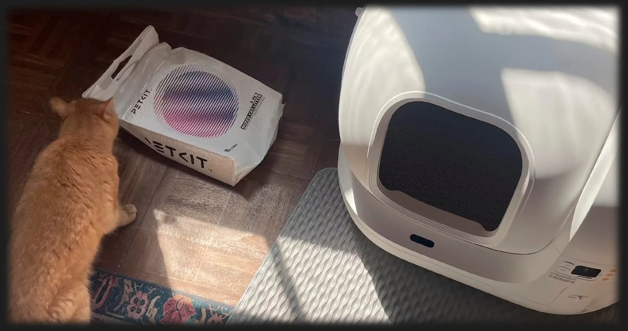 Смарт автоматический лоток PETKIT Pura Max Self-Cleaning Cat Litter Box (White)