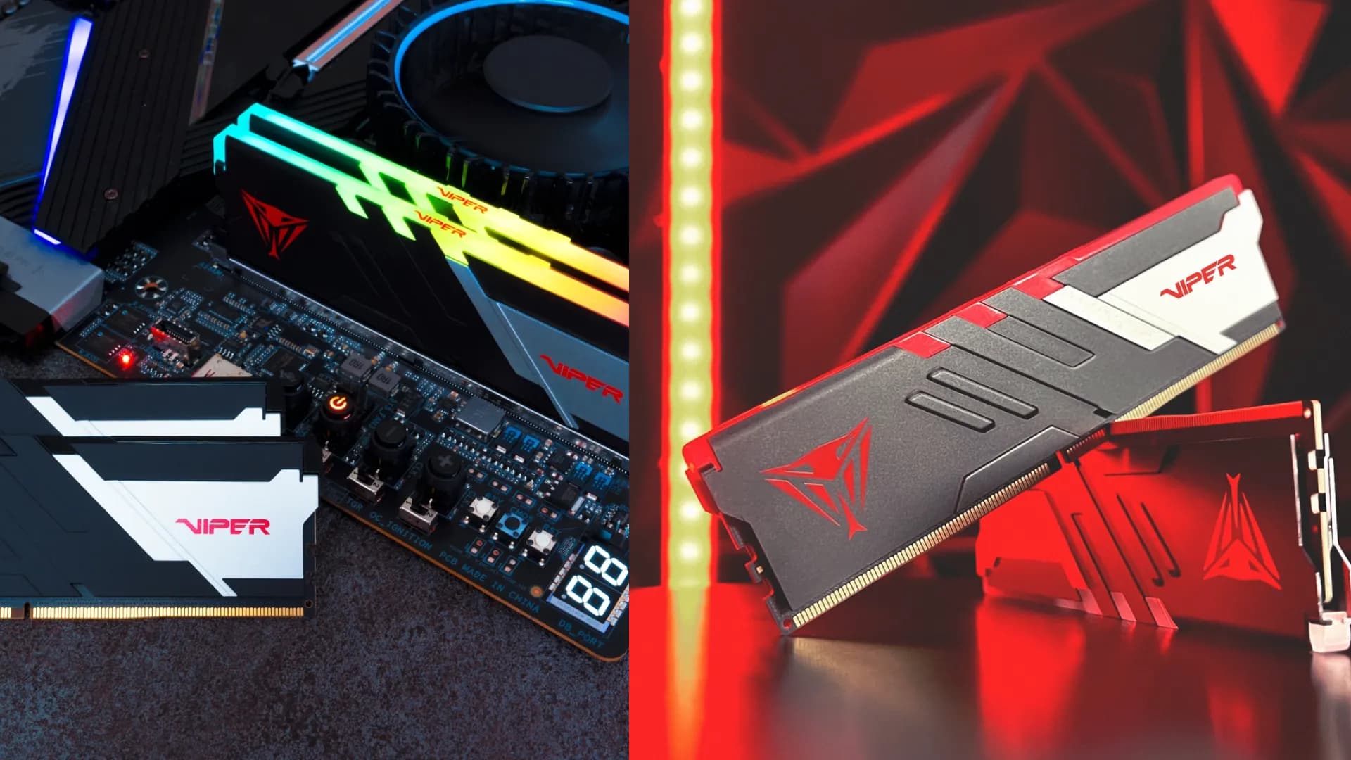 Оперативная память Patriot Viper Venom RGB DDR5 64GB 2x32GB 6000MHz (PVVR564G600C36K)