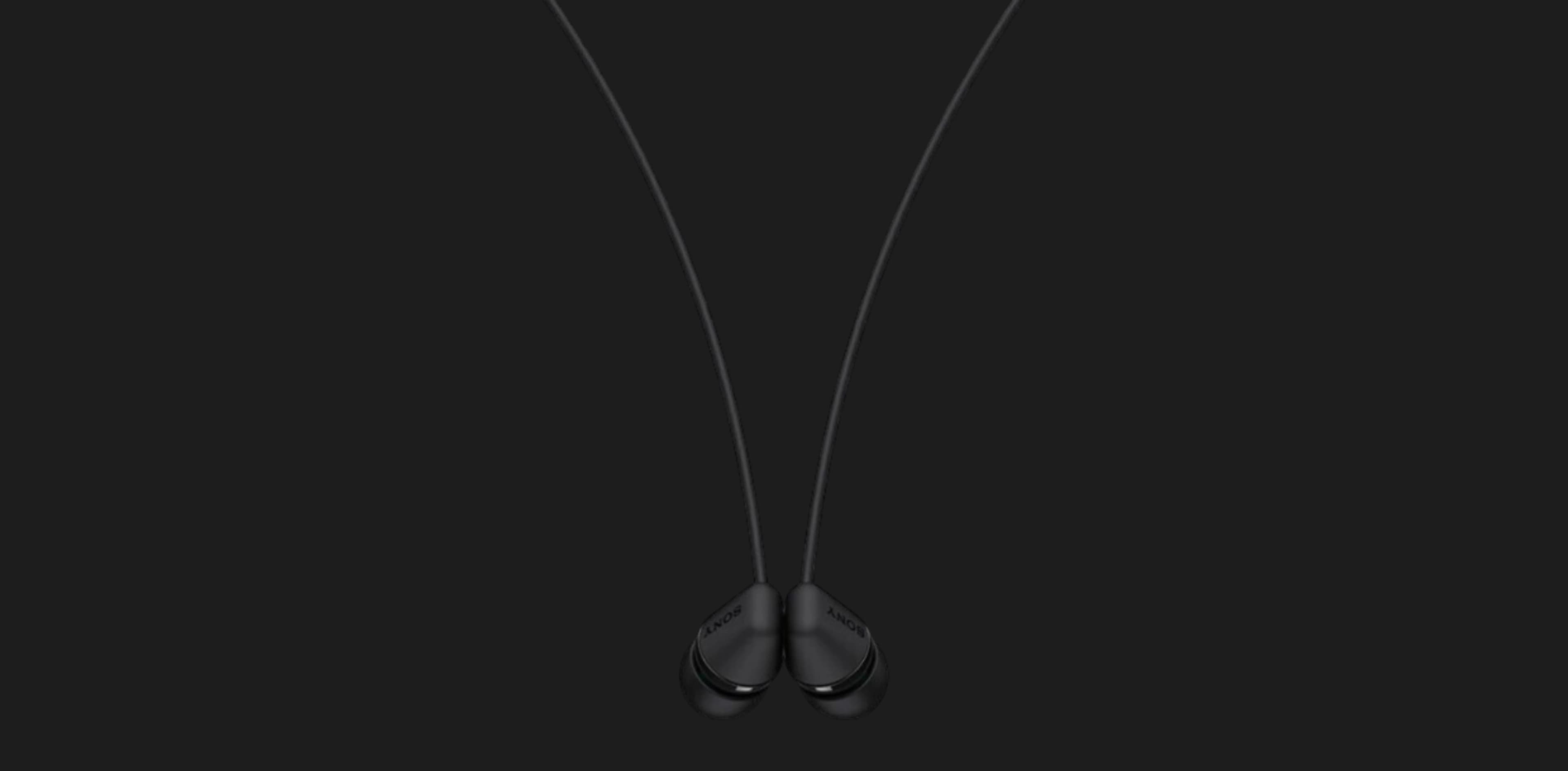 Наушники Bluetooth Sony WI-C100 (Black)