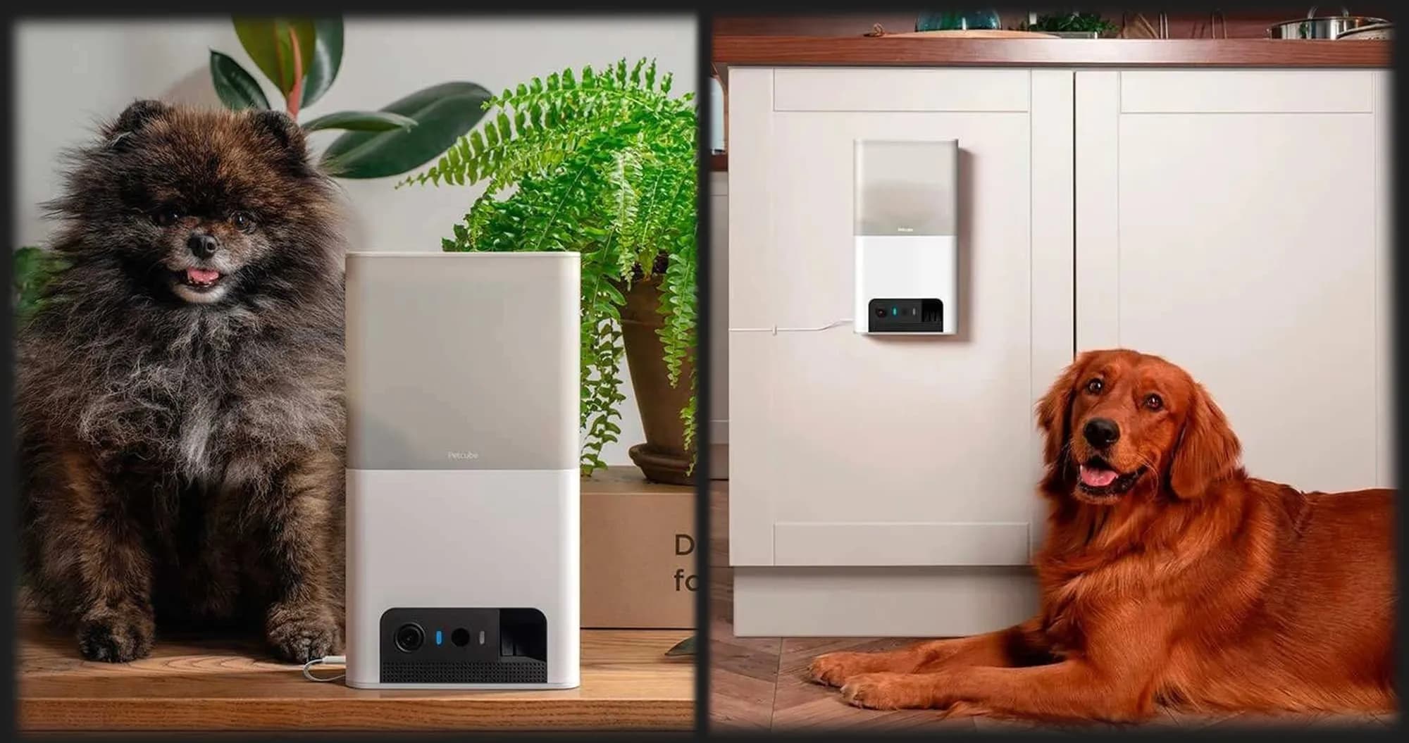 Интерактивная HD камера Petcube Bites 2 Lite (Silver)