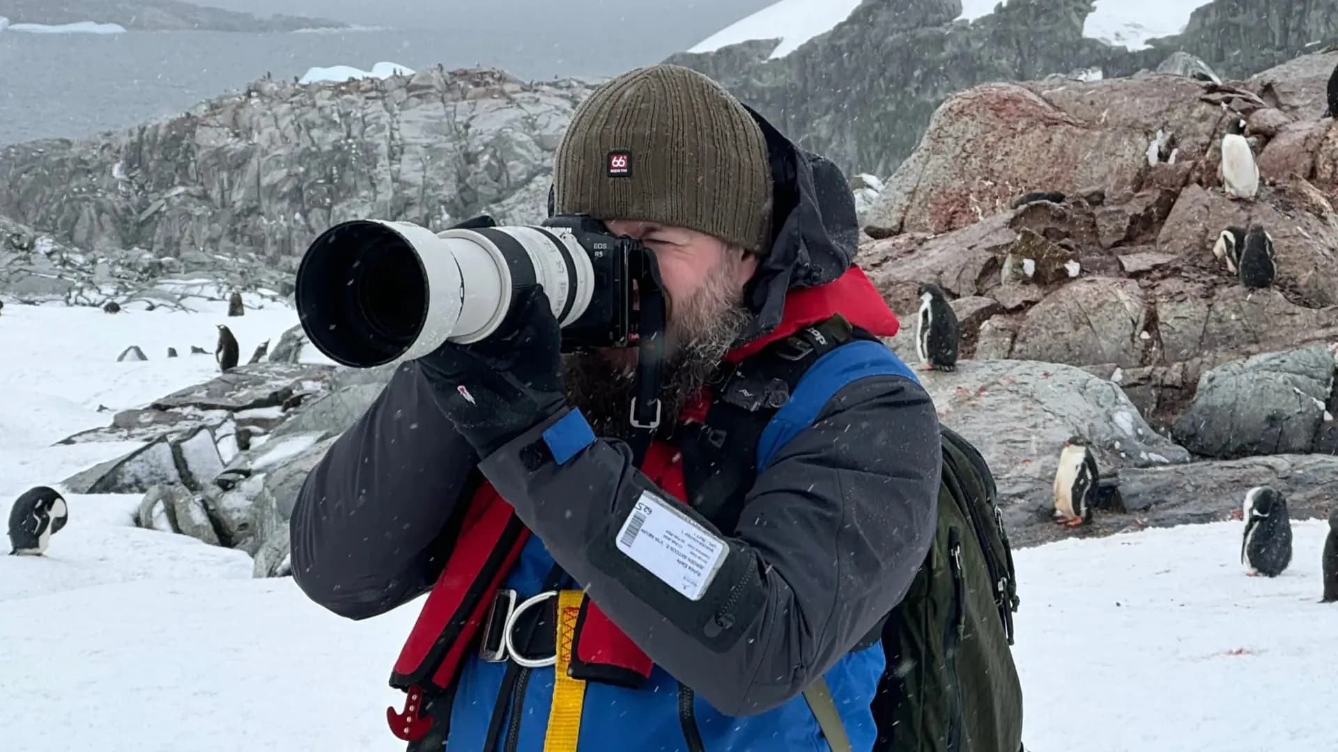 Длиннофокусный объектив Canon RF 100-500mm f/4.5-7.1 L IS USM (4112C005) (Standard)