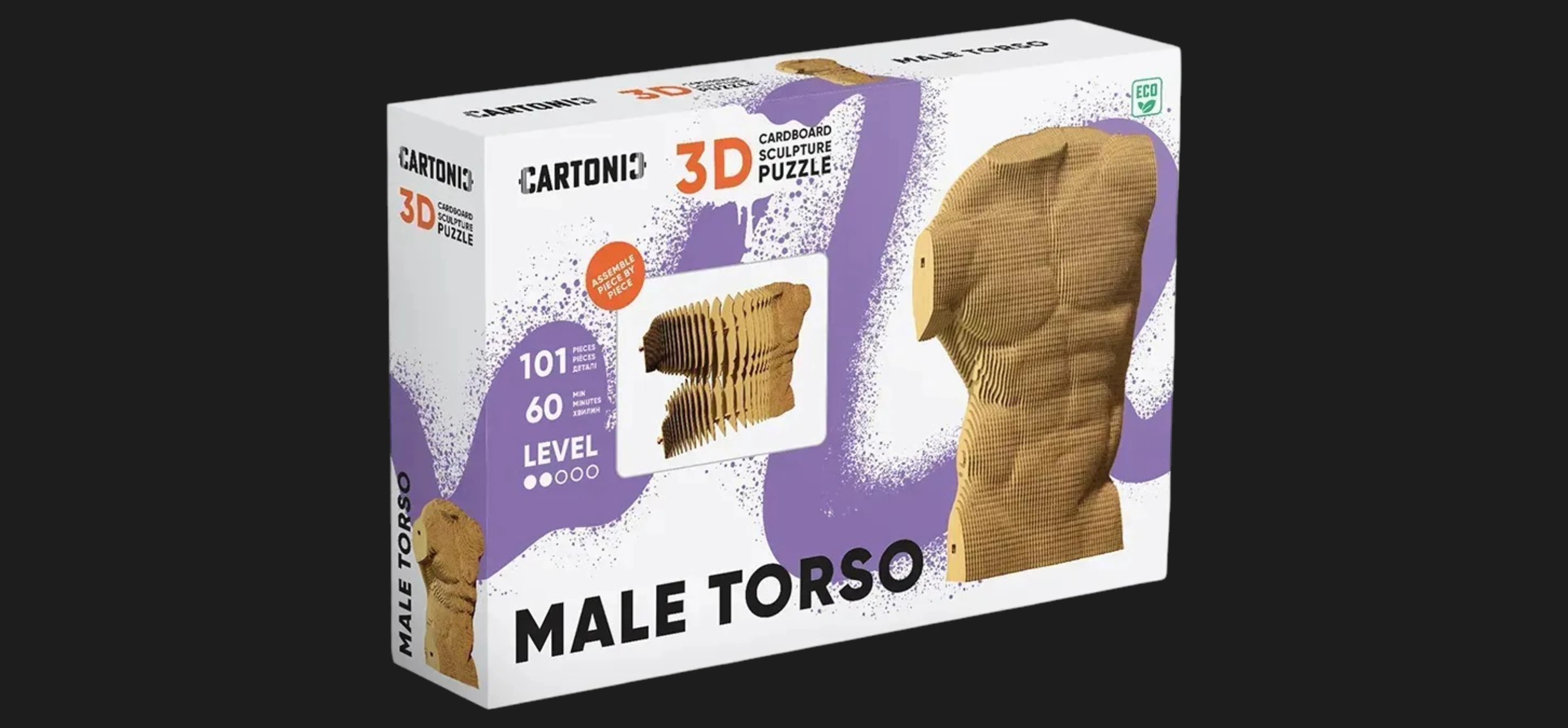 Картонный 3D пазл-конструктор Cartonic Мужской торс (Torso Male) (CARTTORS)