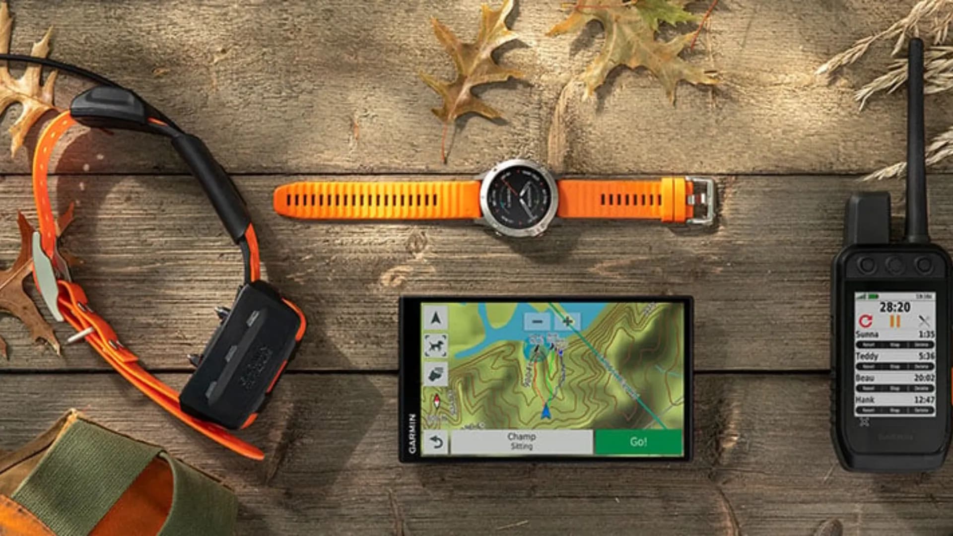 Ошейник с GPS-трекером Garmin Alpha T 20 (010-02447-01)