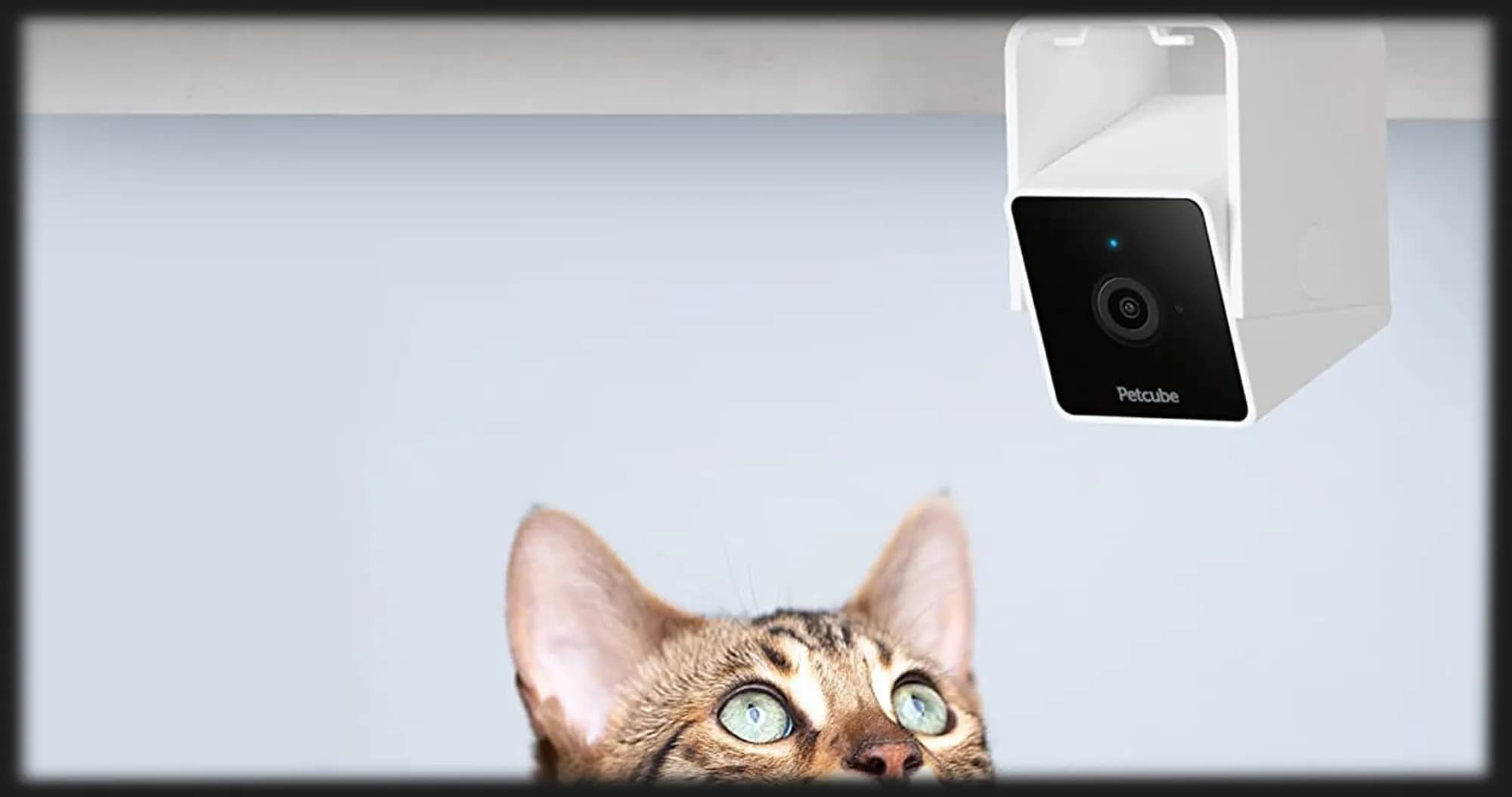 Компактная HD камера Petcube Cam (White)