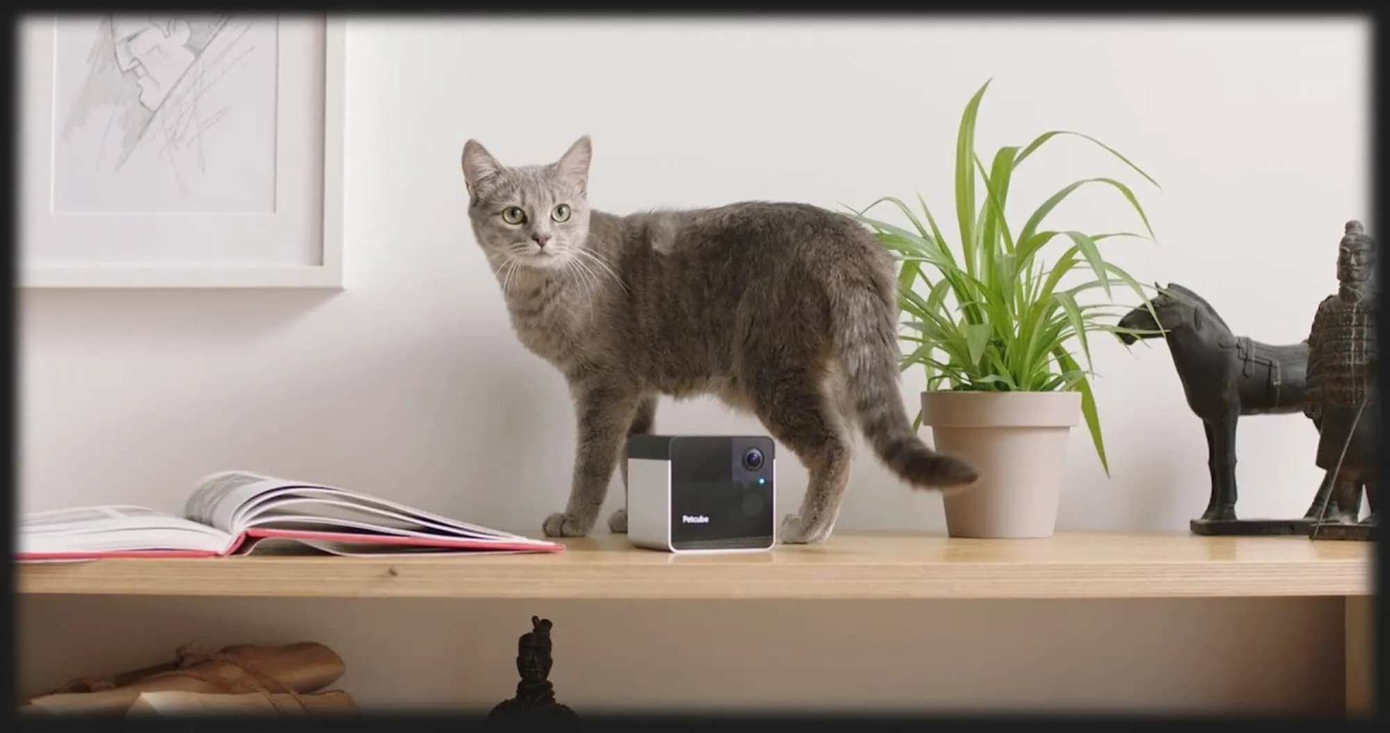 Компактная HD камера Petcube Play 2
