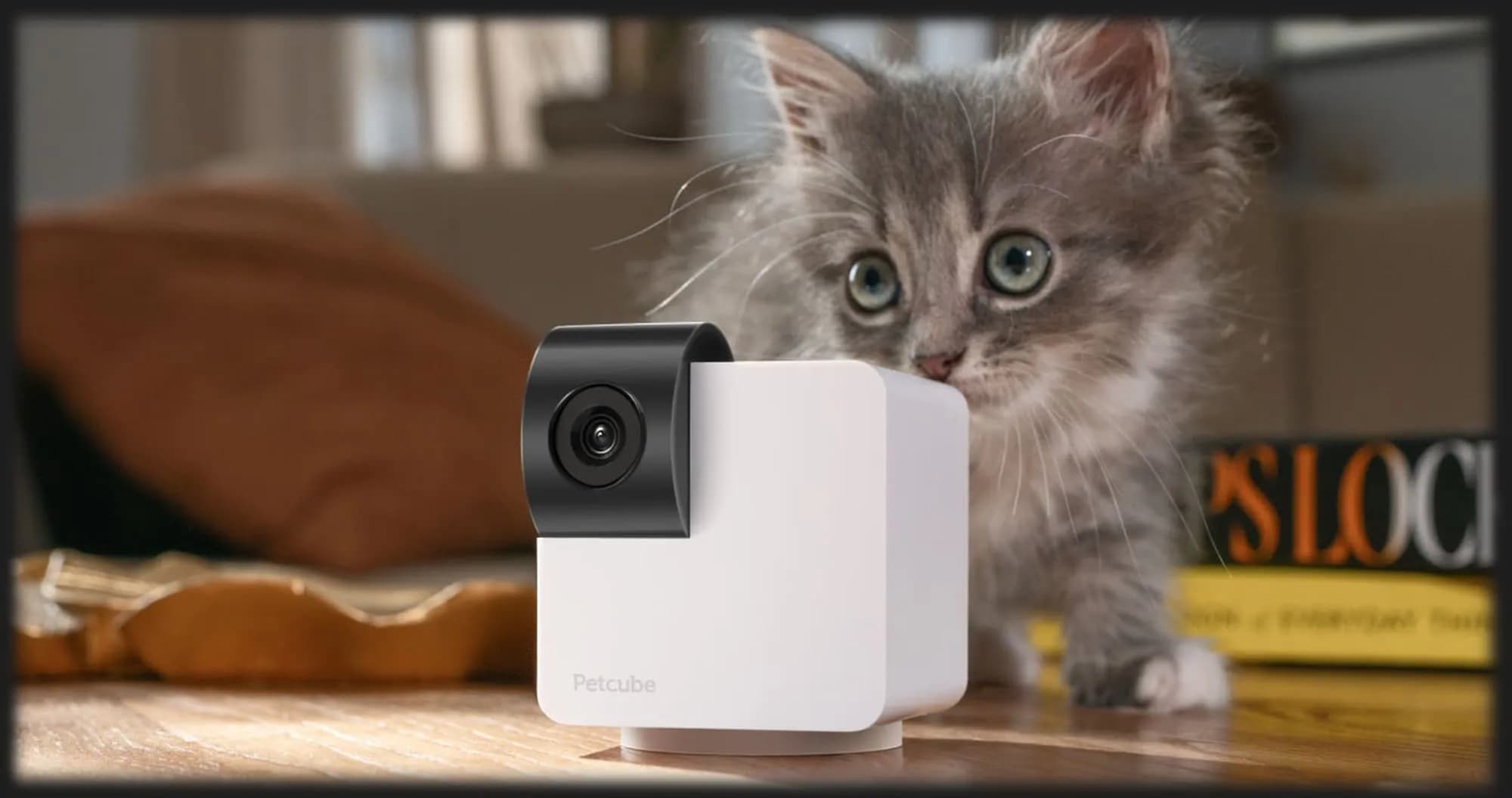 Компактная HD камера Petcube Cam 360 (White)