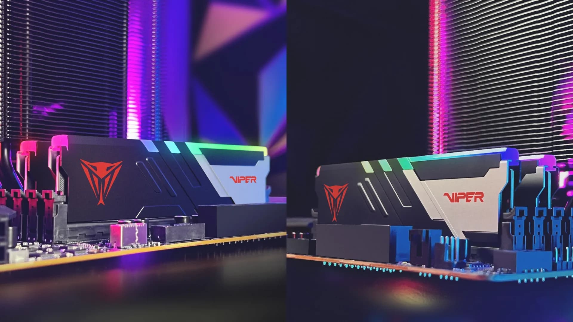 Оперативная память Patriot Viper Venom RGB DDR5 64GB 2x32GB 6000MHz (PVVR564G600C36K)