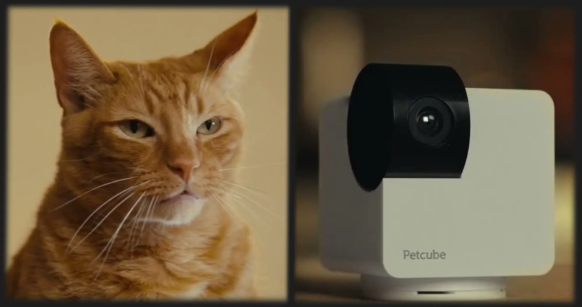 Компактная HD камера Petcube Cam 360 (White)