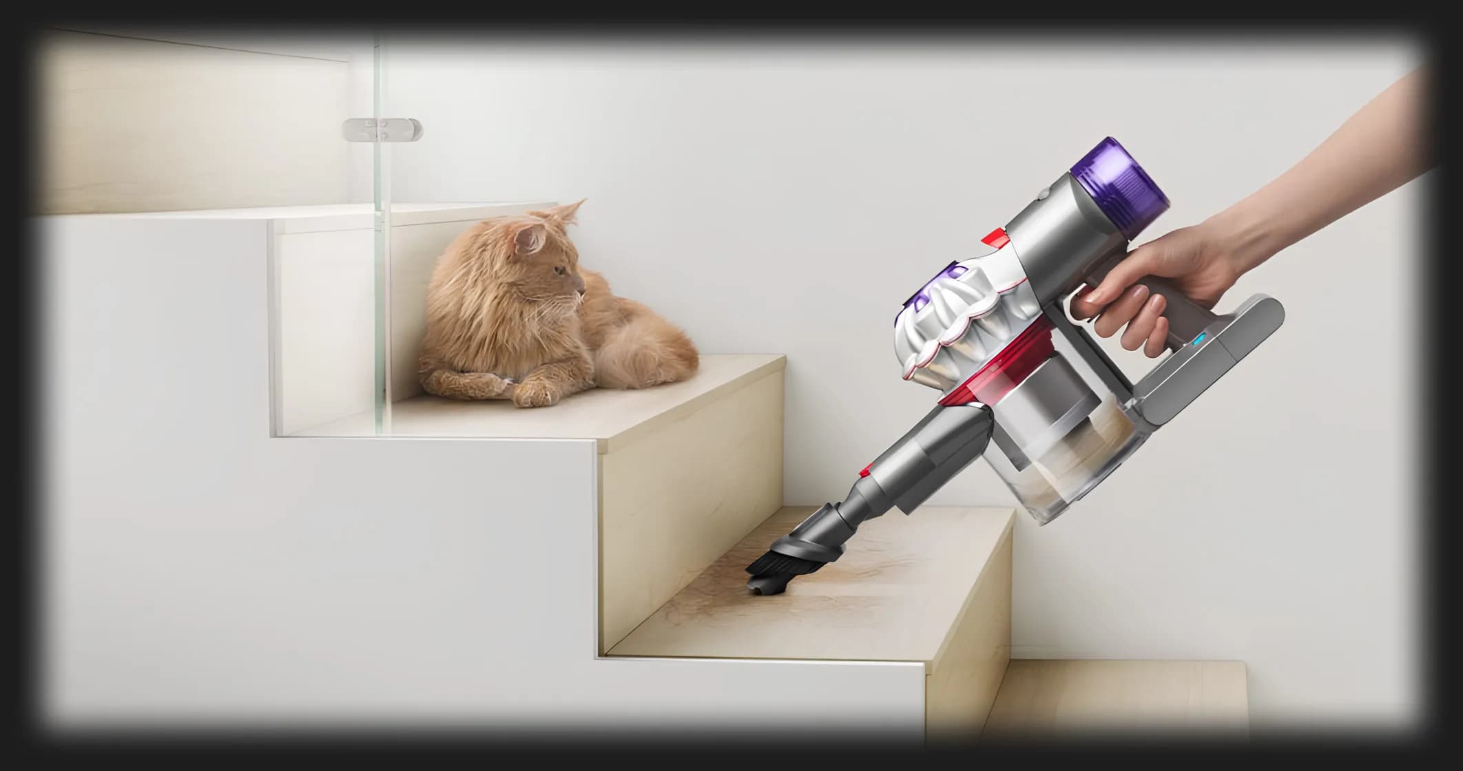 Пылесос (2в1) Dyson V8 Absolute