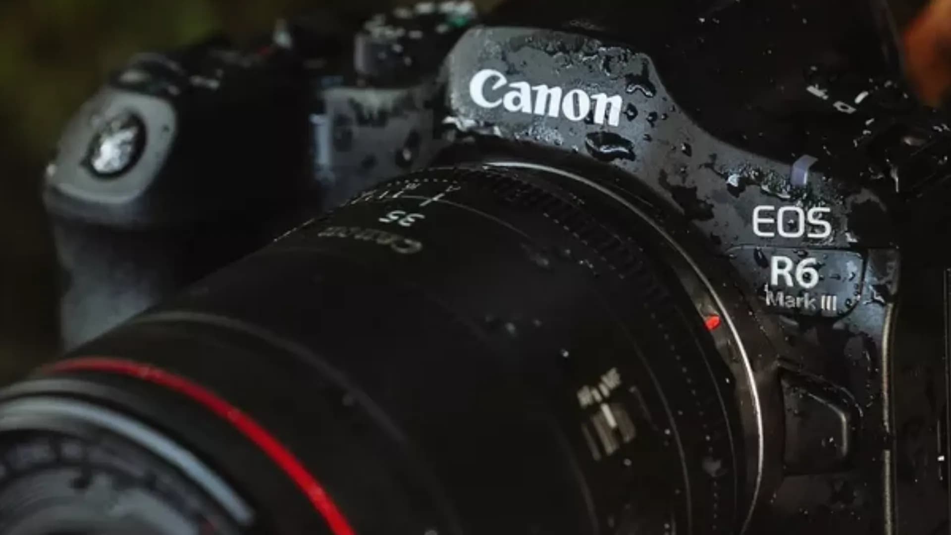 Цифровой фотоаппарат Canon EOS R6 Mark III kit 24-105mm IS STM (7084C031) (Standard)