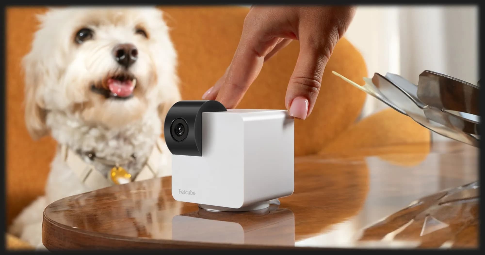 Компактная HD камера Petcube Cam 360 (White)