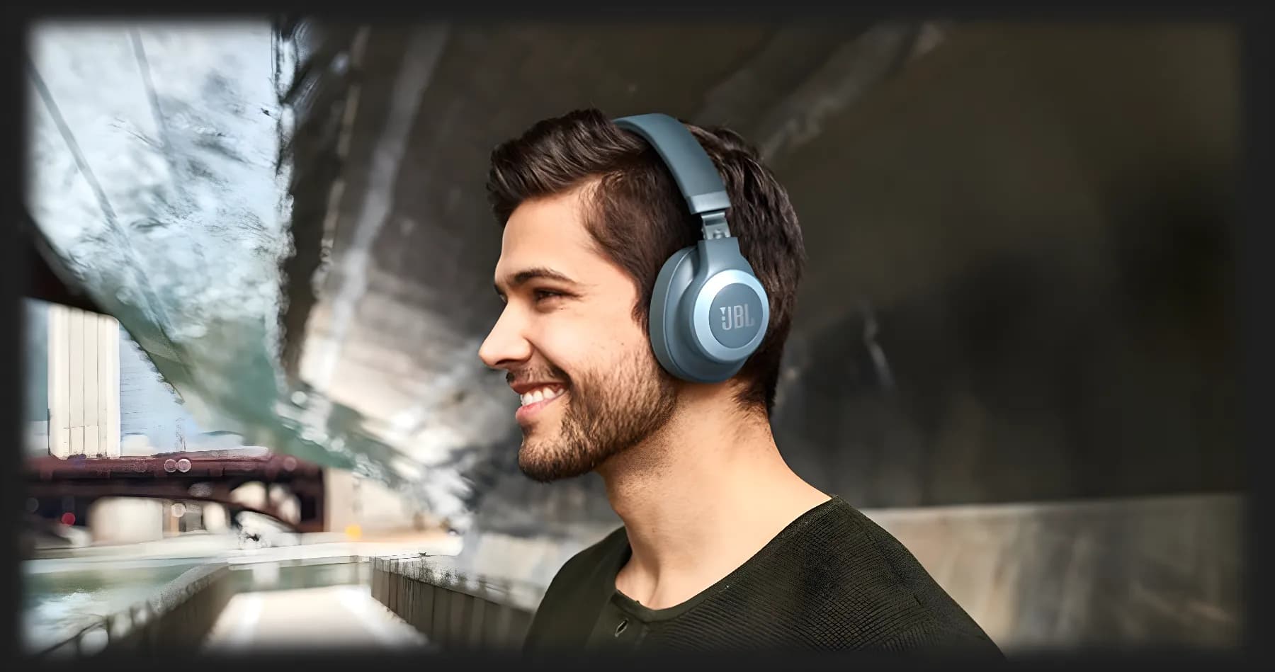 Наушники JBL Live 770NC (Black)