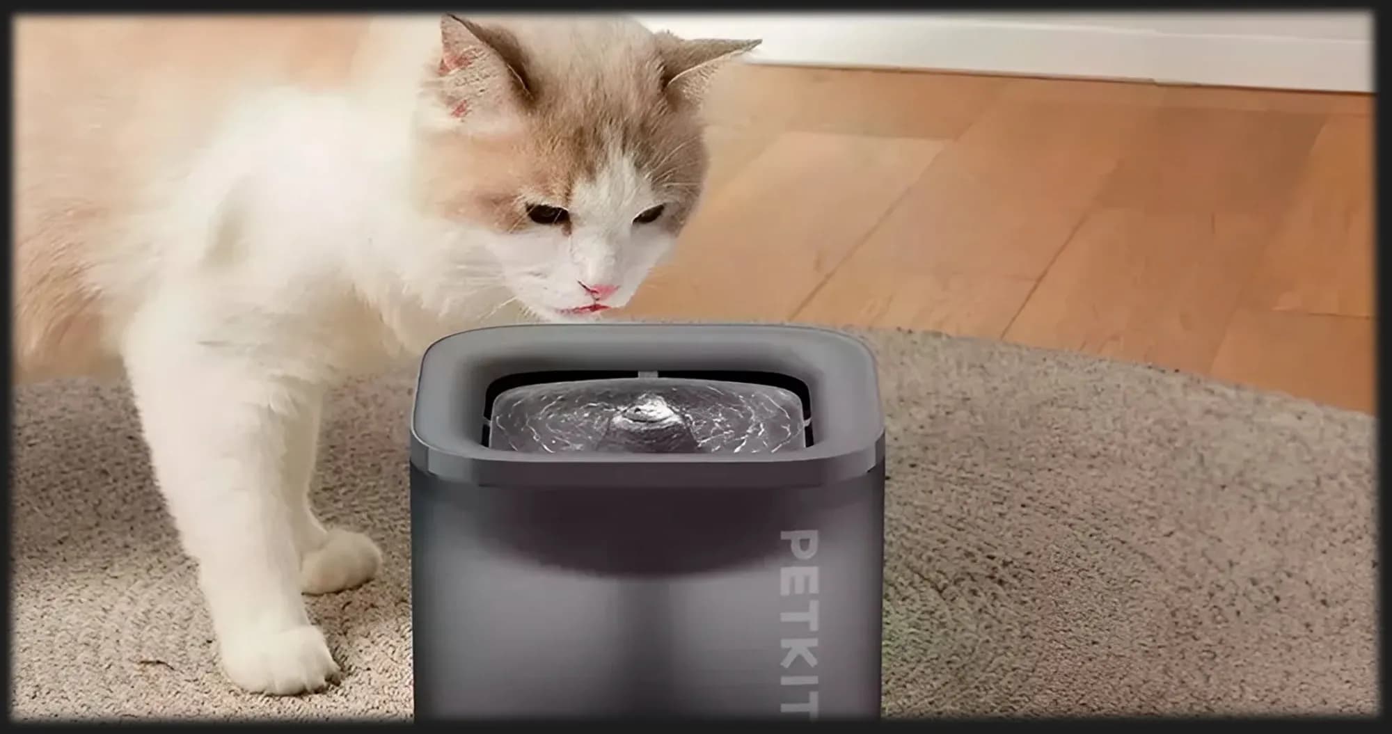 Поилка PETKIT Eversweet Solo SE Smart Pet Drinking Fountain (Gray)
