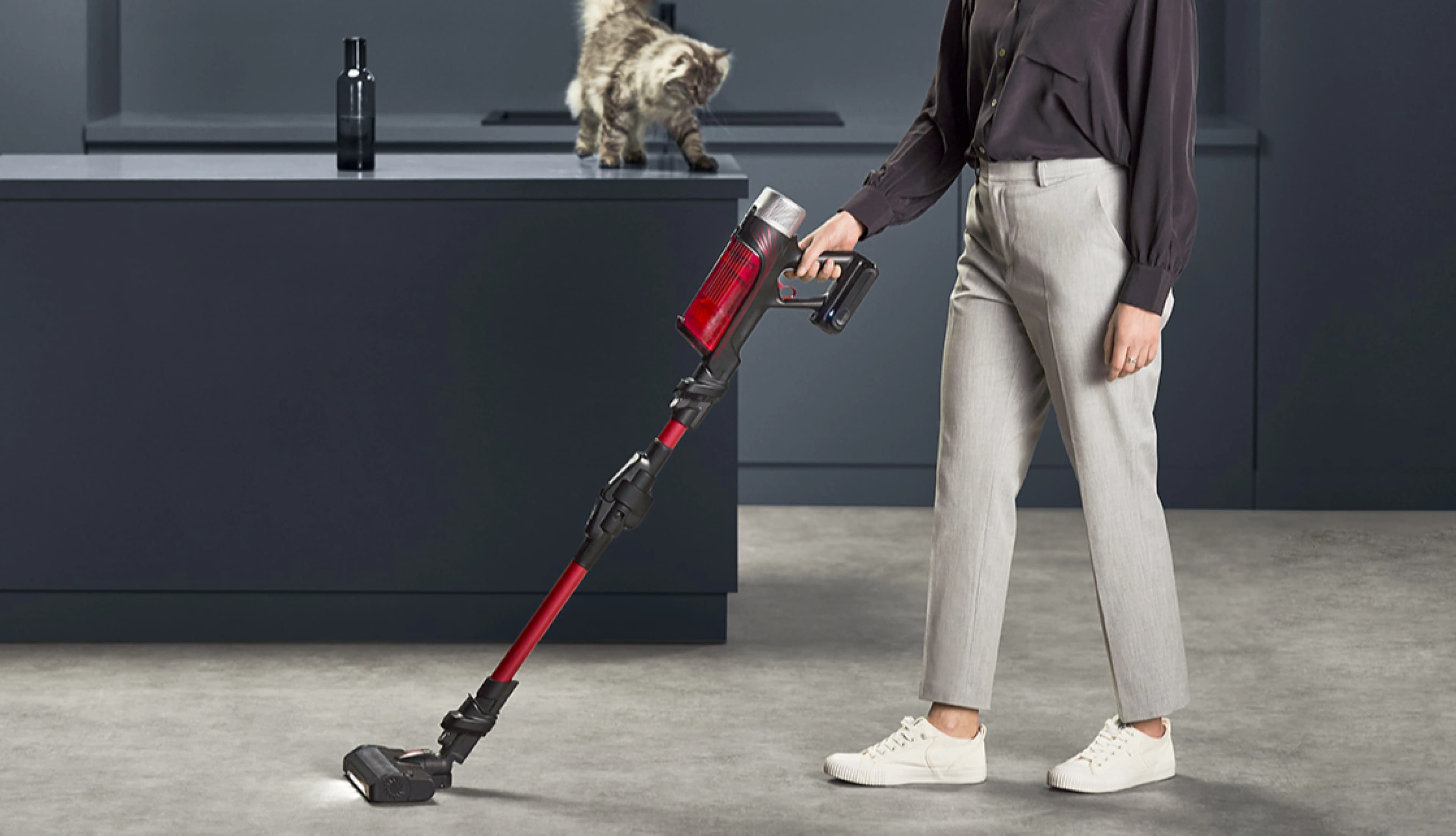 Пылесос Rowenta X-Force Flex 12.60 Auto Animal (RH98A9WO)