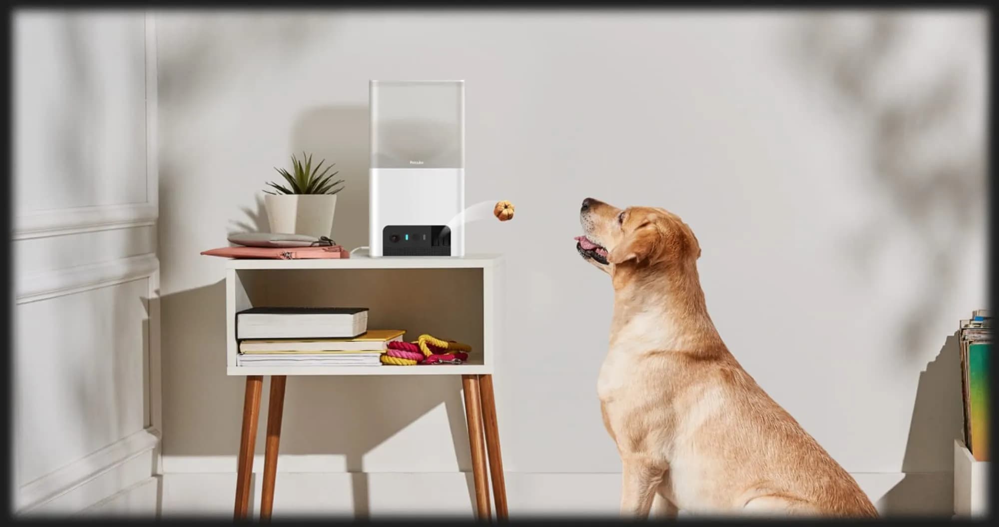 Интерактивная HD камера Petcube Bites 2 Lite (Silver)