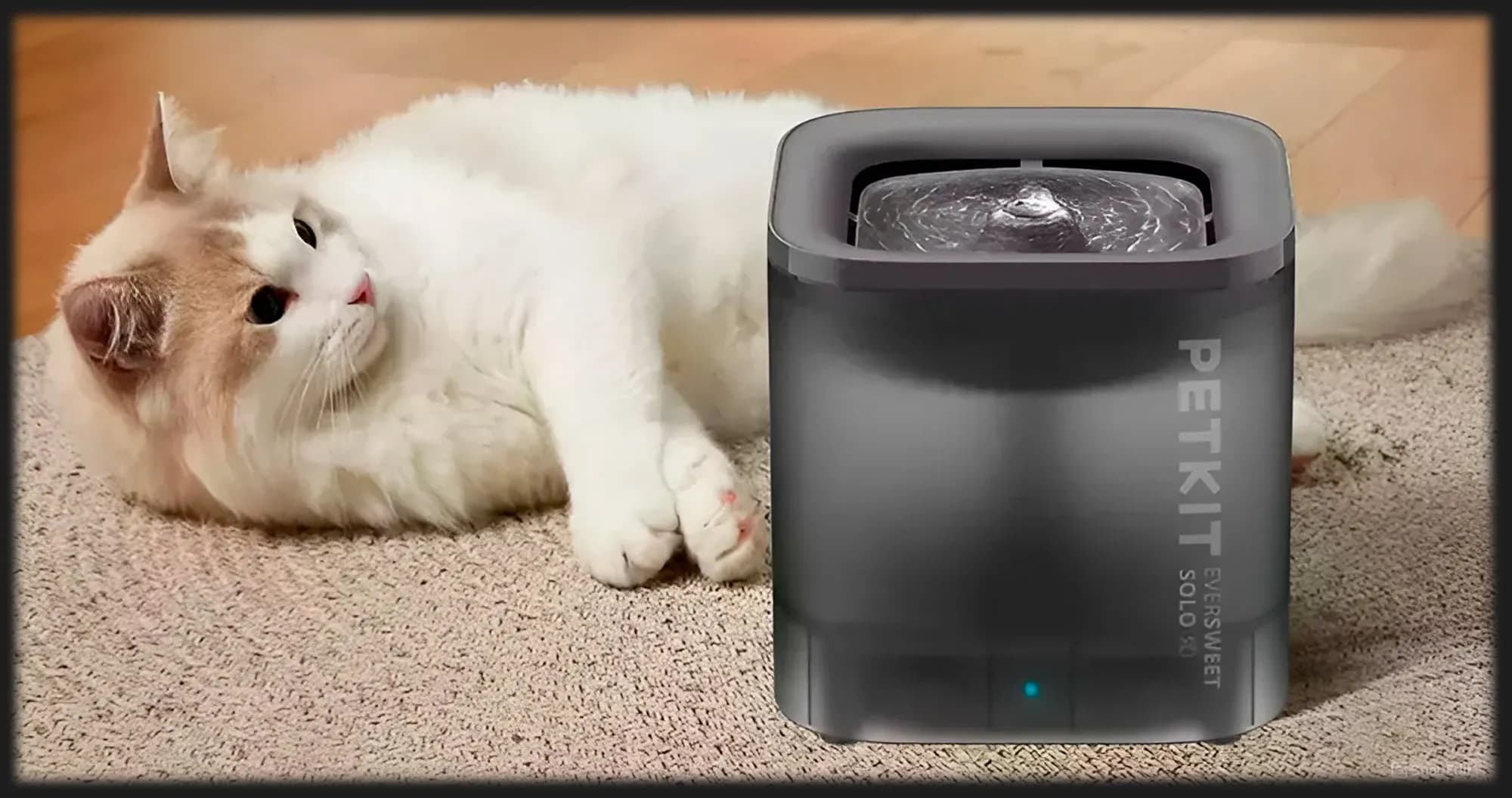 Поилка PETKIT Eversweet Solo SE Smart Pet Drinking Fountain (Gray)