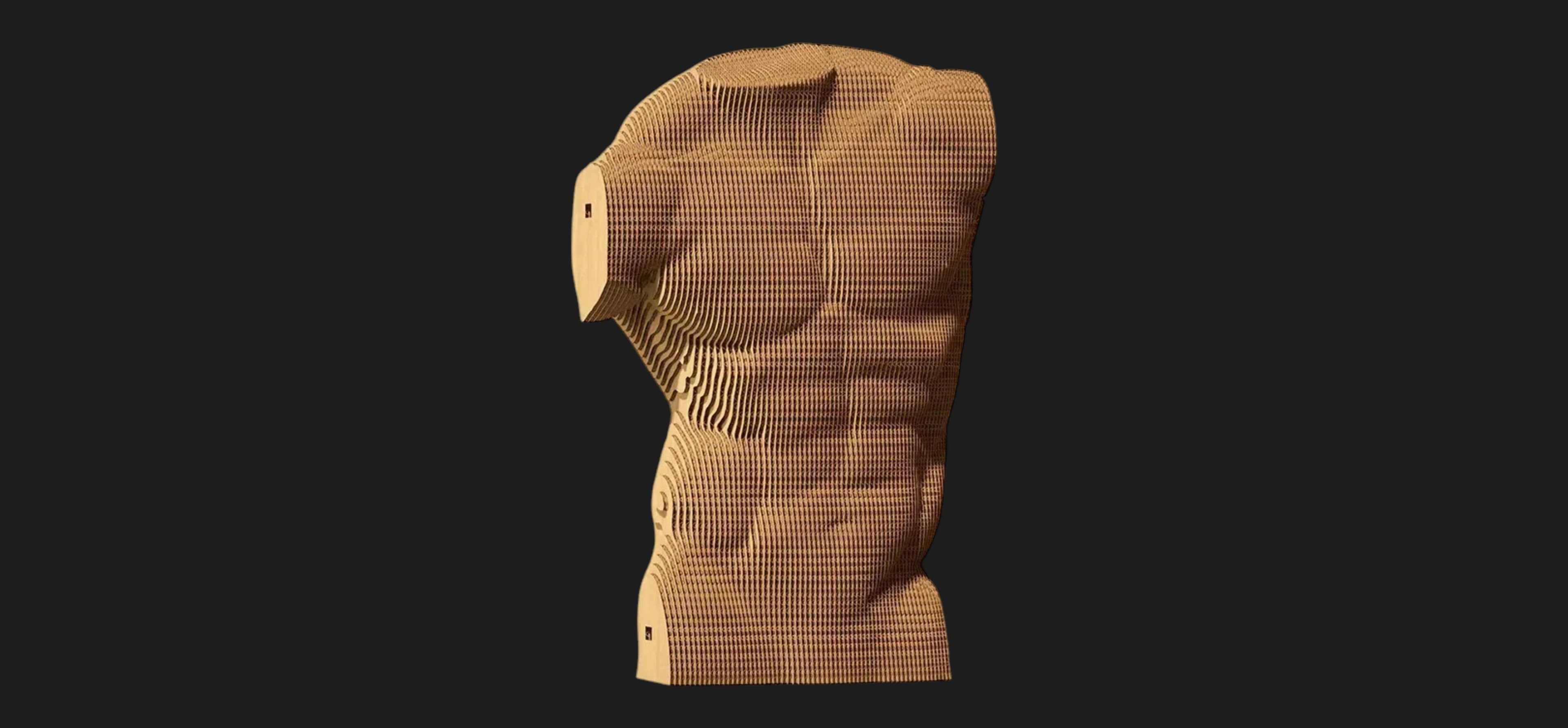 Картонный 3D пазл-конструктор Cartonic Мужской торс (Torso Male) (CARTTORS)