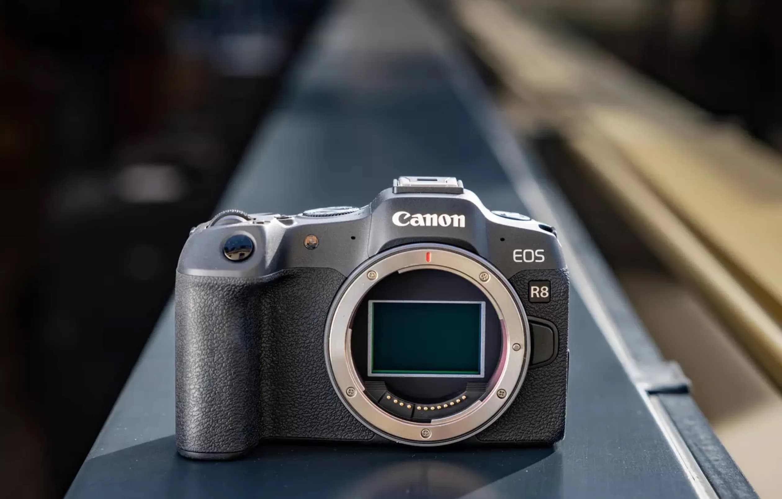 Цифровой фотоаппарат Canon EOS R8 Body (Black) (5803C019) (Standard)