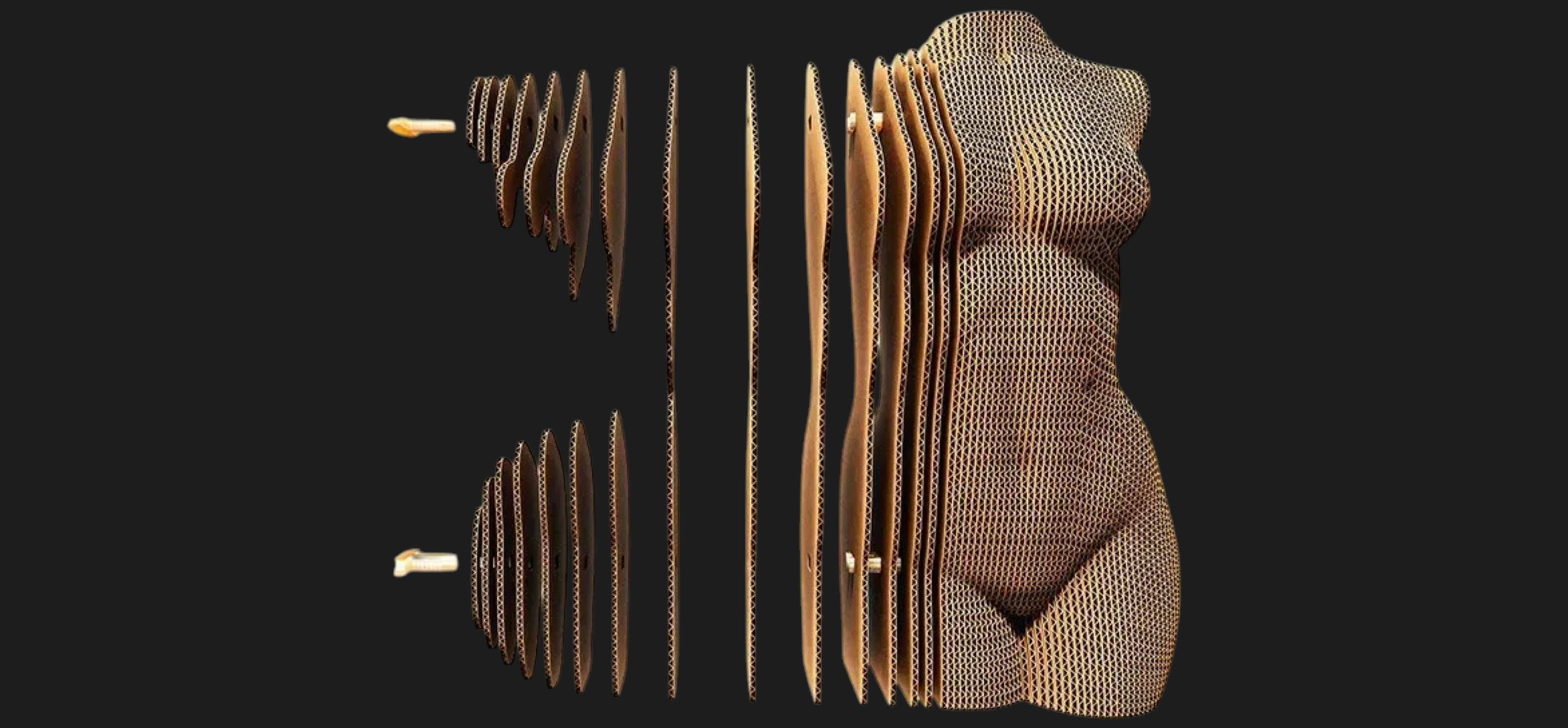 Картонный 3D пазл-конструктор Cartonic Женский торс (Female torso) (CARTTORSW)