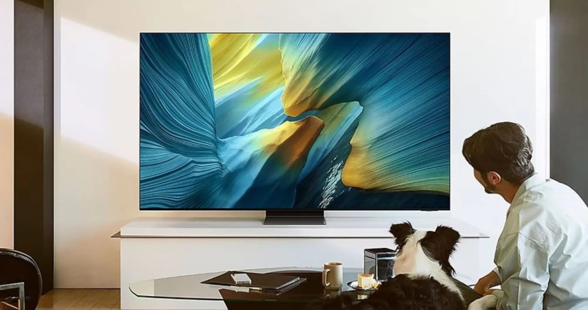 Телевизор Samsung 65 QE65S95FAUXUA (UA)