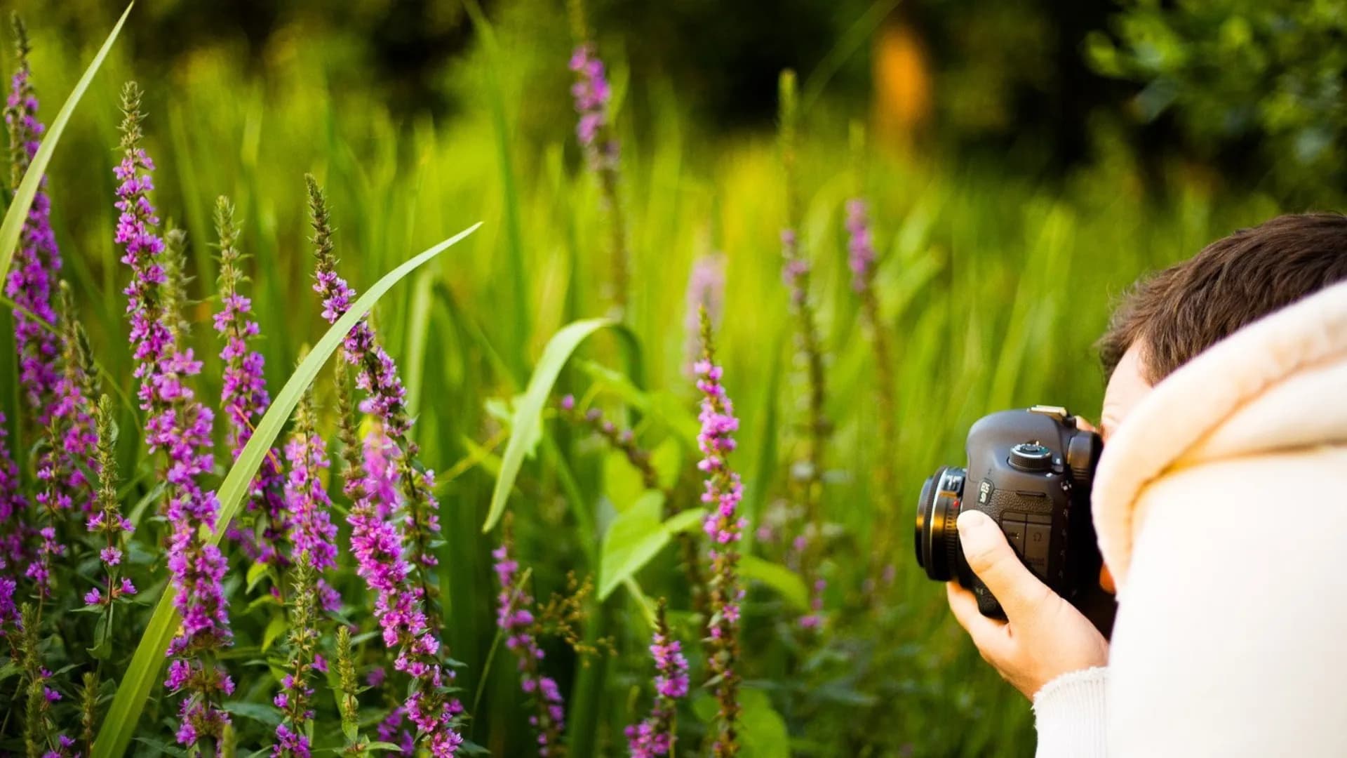 Стандартный объектив Canon EF 50mm f/1.8 STM (0570C005) (Standard)