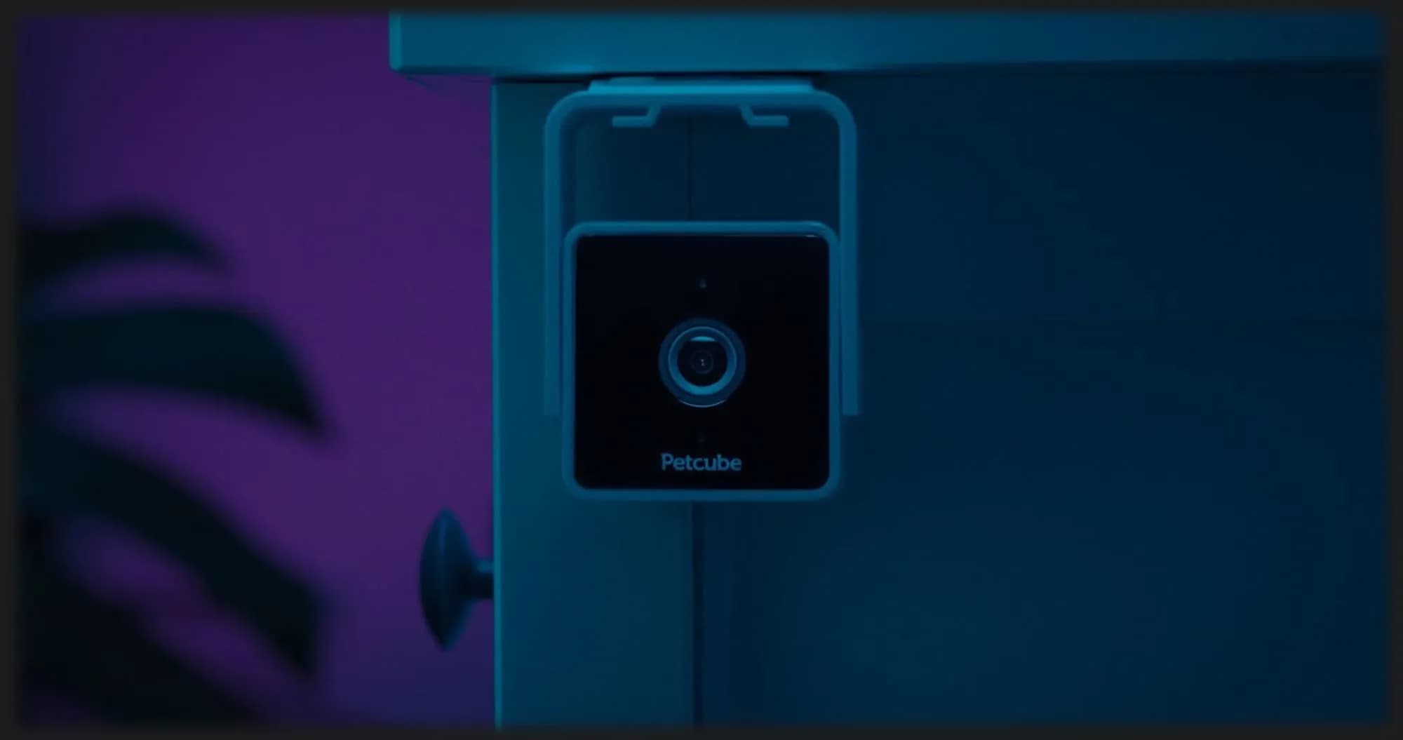 Компактная HD камера Petcube Cam (White)