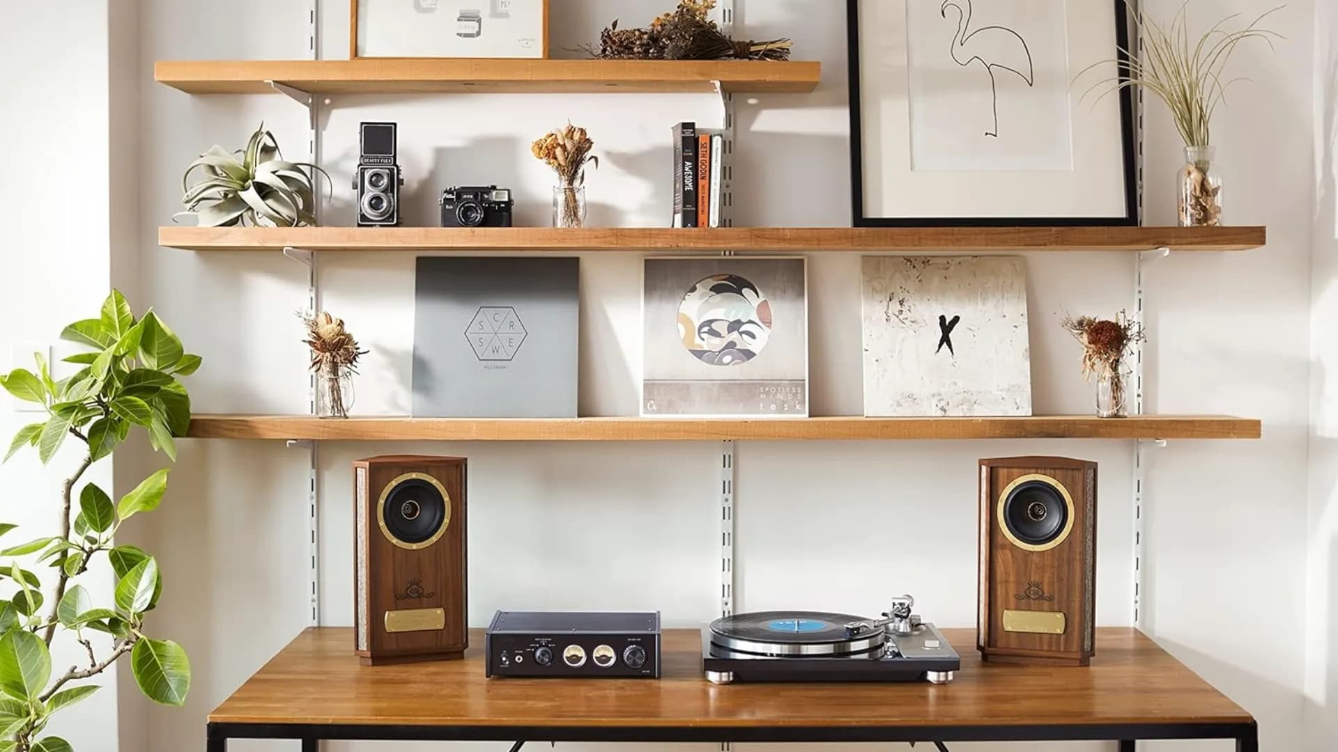 Виниловый проигрыватель TEAC Hi-Fi TN-4D-SE/B (Black)