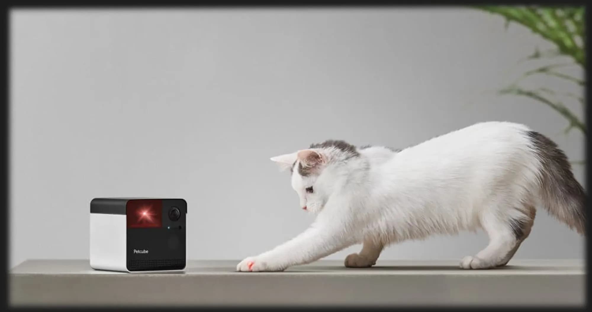 Компактная HD камера Petcube Play 2