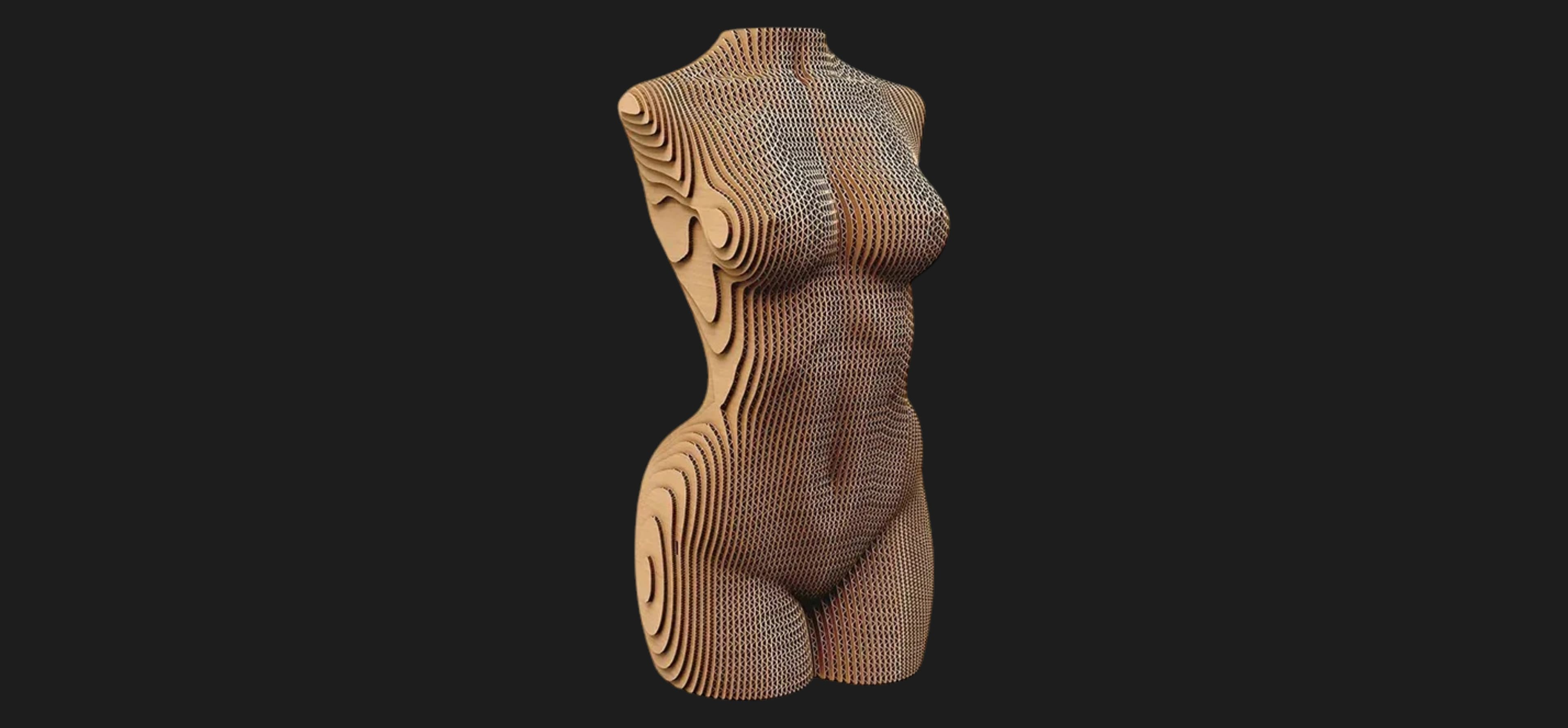 Картонный 3D пазл-конструктор Cartonic Женский торс (Female torso) (CARTTORSW)