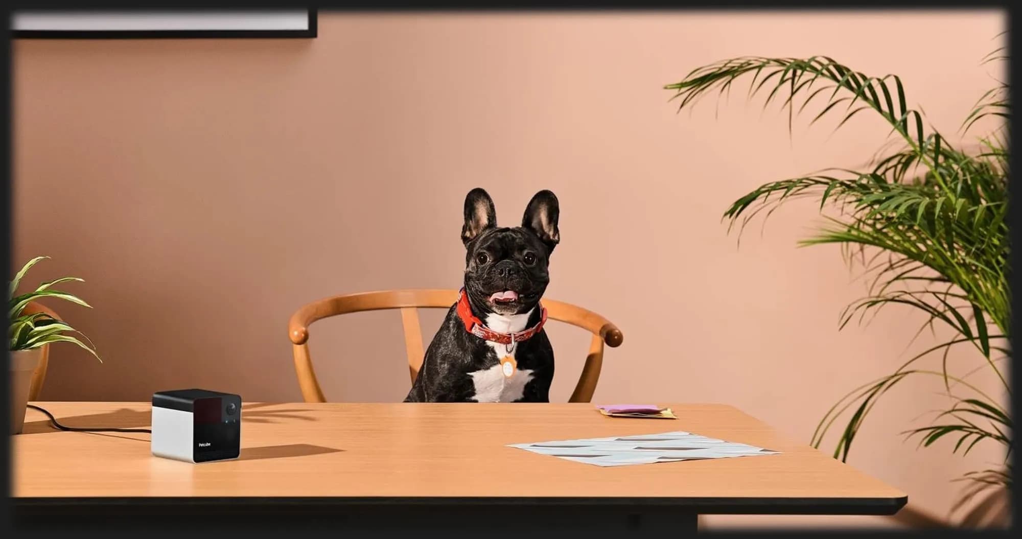 Компактная HD камера Petcube Play 2