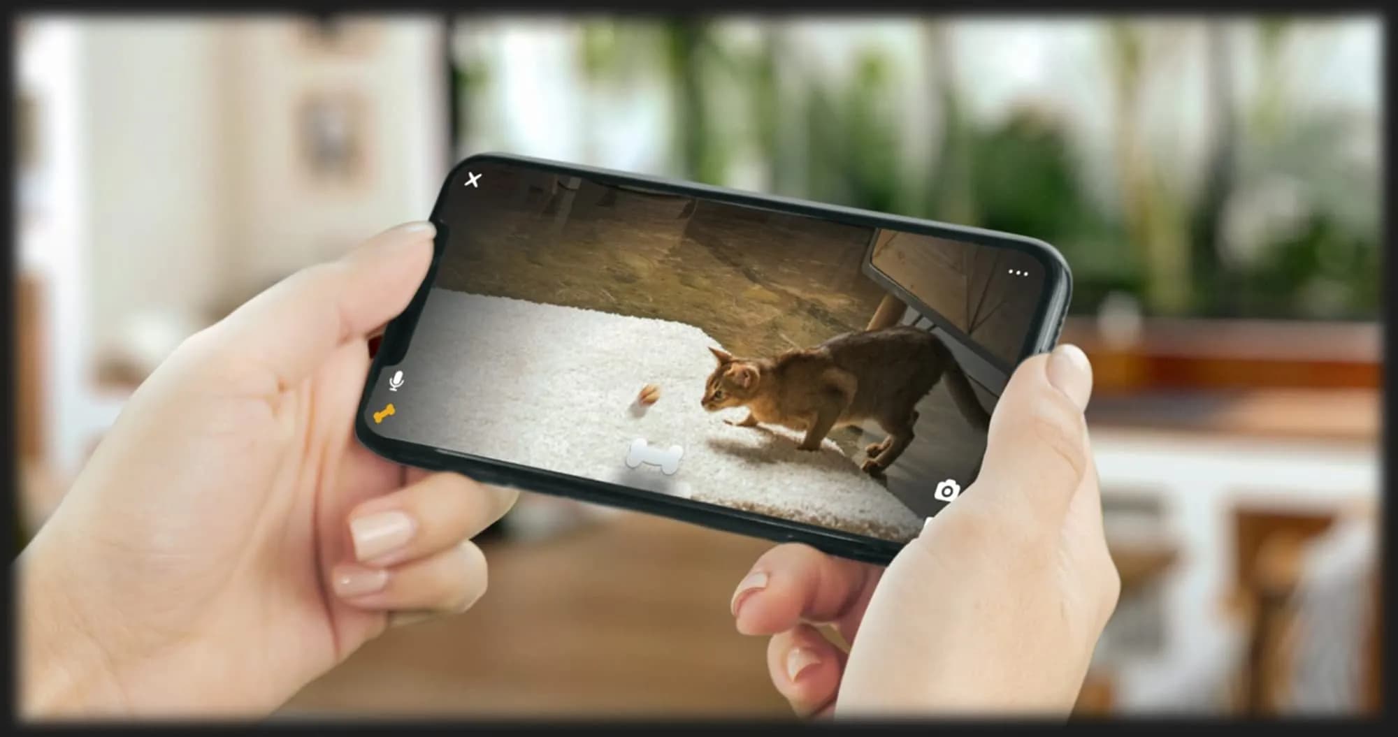 Интерактивная HD камера Petcube Bites 2 Lite (Silver)