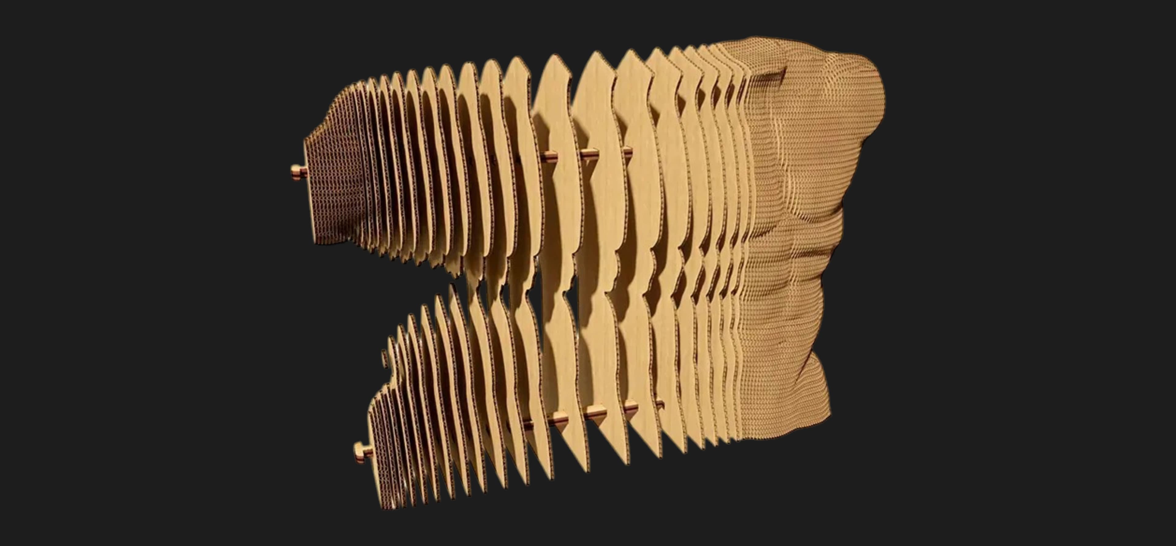 Картонный 3D пазл-конструктор Cartonic Мужской торс (Torso Male) (CARTTORS)