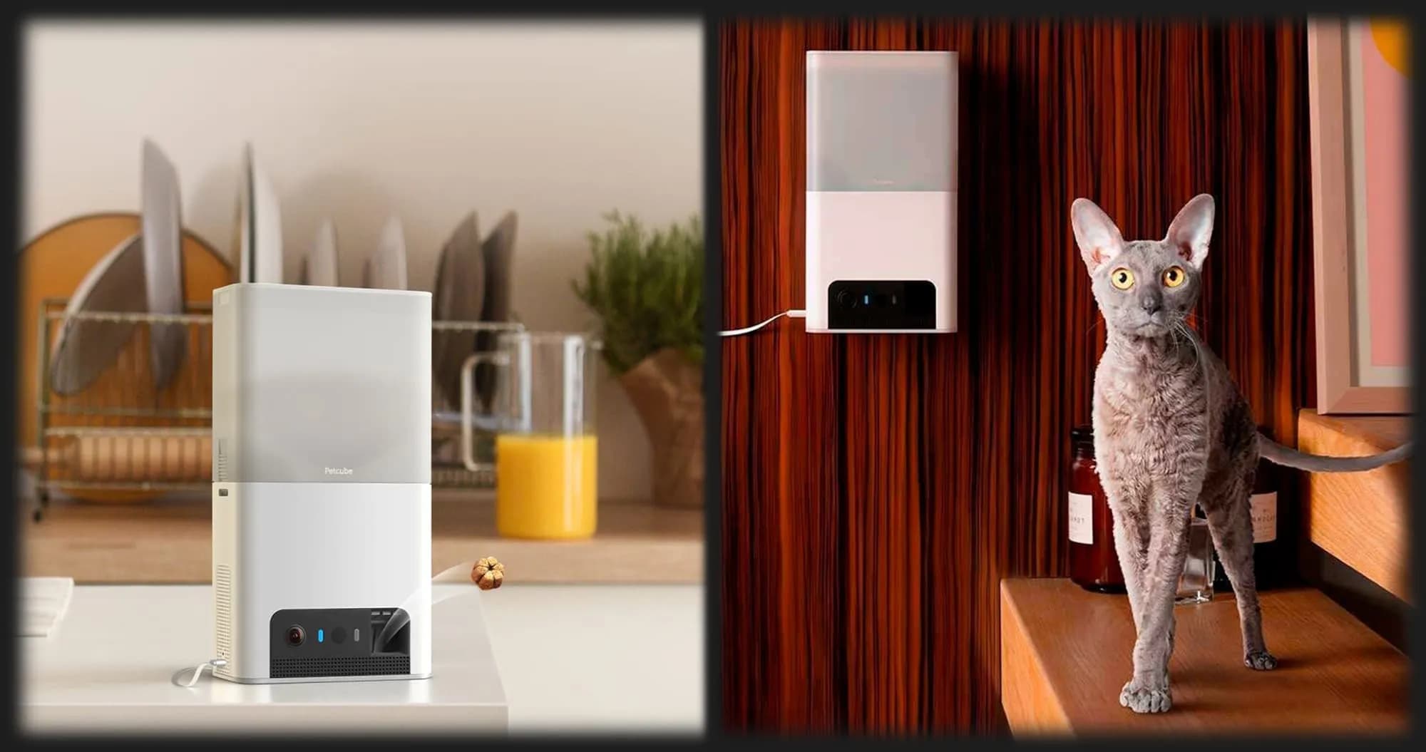 Интерактивная HD камера Petcube Bites 2 Lite (Silver)