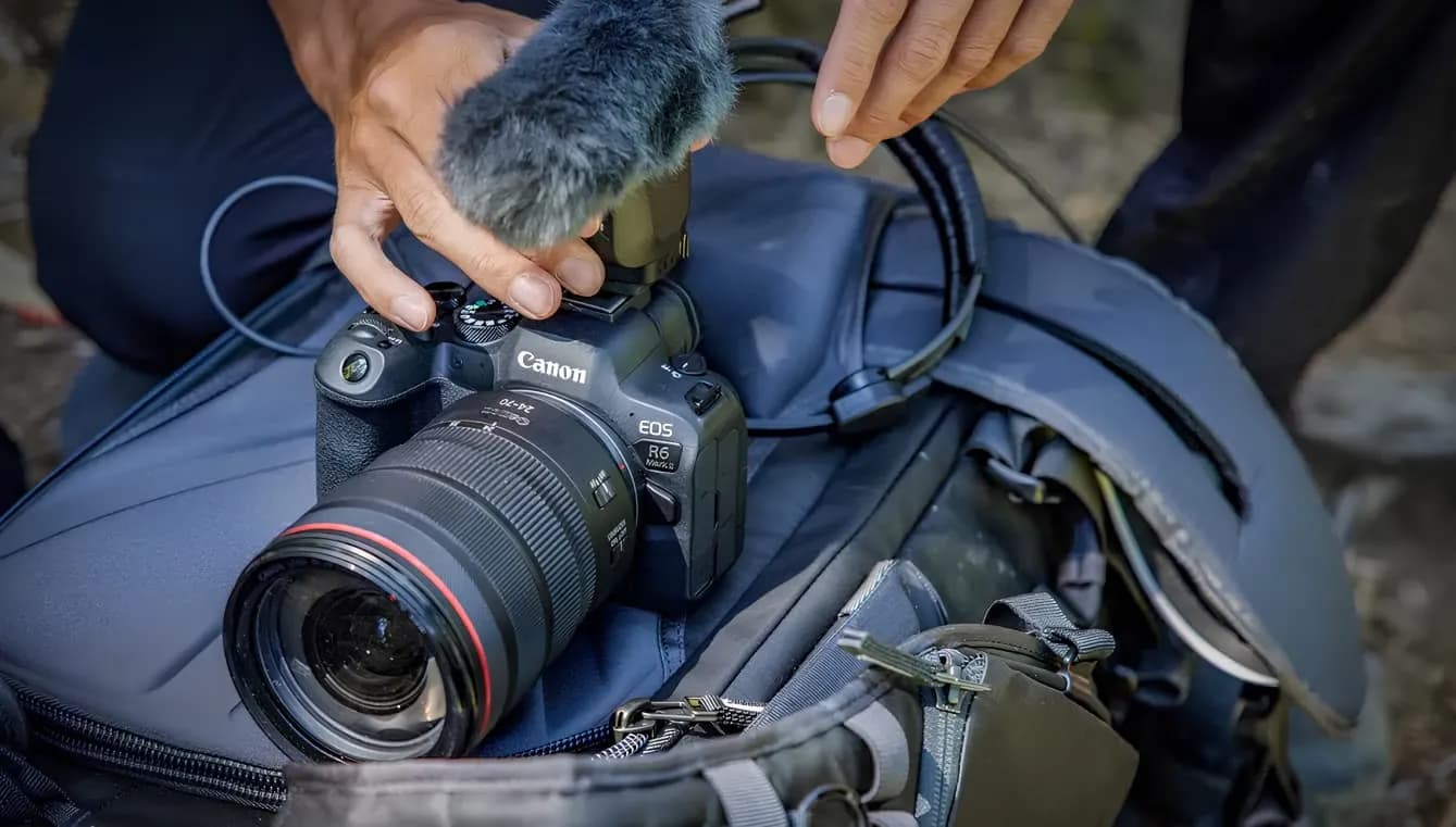 Цифровой фотоаппарат Canon EOS R6 Mark II Body (5666C031) (Standard)