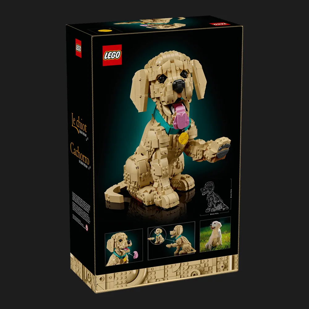 Конструктор LEGO Icons Щенка золотистого ретривера
