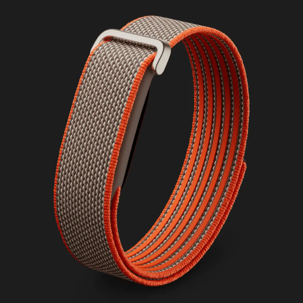Фитнес-браслет Google Fitbit Air (Rye)